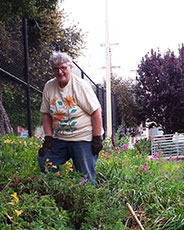 Joan Lionberger Ladybug Gardener